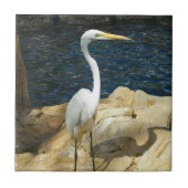 Carreau Aiguille Blanche À La Plage (Devant)