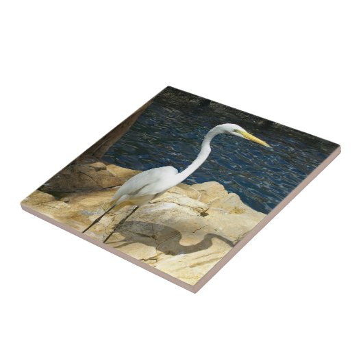 Carreau Aiguille Blanche À La Plage (Côté)