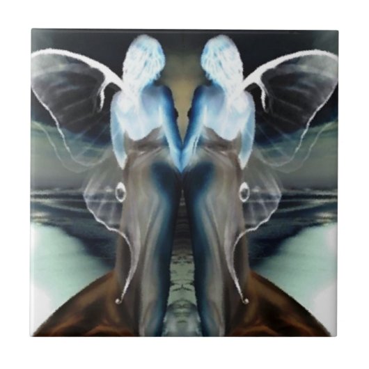 Carreau Ailes d'ange (Devant)