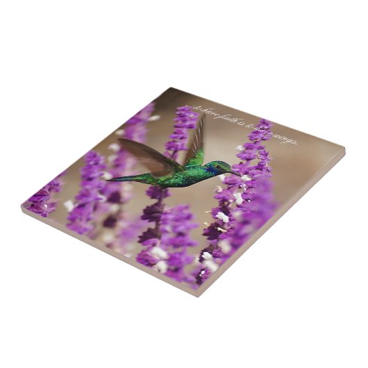 Carreau Ailes de colibri de Violet-oreilles de (Côté)