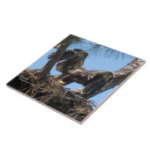 Carreau ailes de l'aigle jeune Spiegeland Tile (Côté)
