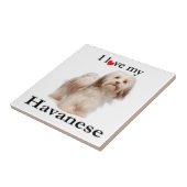 Carreau Aimez Mon Carrelage Havanais (Côté)