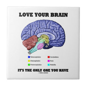 Carreau Aimez votre cerveau qu'il est le seul vous avez