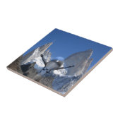 Carreau Air de montagne (Côté)