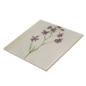 Carreau Ajacis de delphinium, c.1568 (Côté)