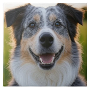 Carreau Ajouter une Personnaliser photo pour animaux domes