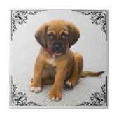 CARREAU AJOUTER VOTRE PROPRE PHOTO (Devant)