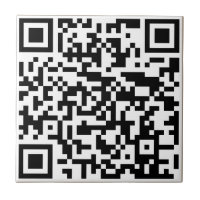 Ajoutez votre propre QR Code text Scan Minimal Sim