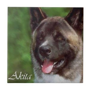 Carreau Akita Art