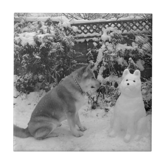 Carreau akita noir et blanc avec un chien de neige (Devant)