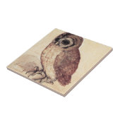 Carreau Albrecht Durer la tuile de petit hibou (Côté)