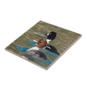 Carreau Alert Goldeneye (Côté)