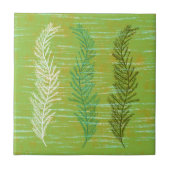 Carreau Algues côtières (Devant)