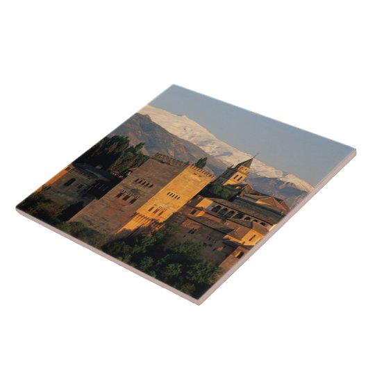 Carreau Alhambra; Grenade; Andaslusia, Espagne, Sierra (Côté)