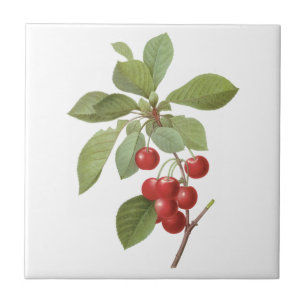Carreau Aliment Cerise de Fruit Vintage, Cerises par Redou