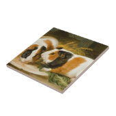 Carreau Alimentation de cochons de Guinée animale (par Jam (Côté)