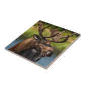 Carreau Allaitement d'orignaux dans le parc national des G (Côté)