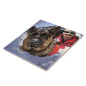 Carreau Allemand Shepard Recherche et Secourt dans la neig (Côté)