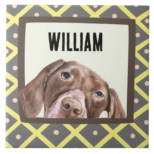 Carreau Allemand Short Haired Pointer cadre photo personna (Devant)