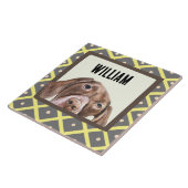 Carreau Allemand Short Haired Pointer cadre photo personna (Côté)