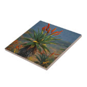 Carreau Aloe de montagne (Aloe Marlothii Berger) 2 (Côté)