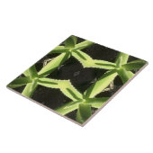 Carreau Aloe Motif 3h (Côté)