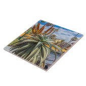 Carreau Aloe Vera plante céramique (Côté)