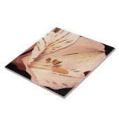 Carreau Alstroemeria en fleurs (Côté)