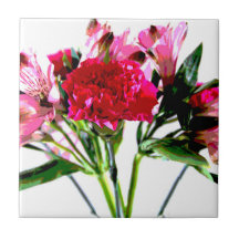 Alstroemeria rose