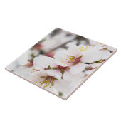 Carreau Amande fleurie (Côté)