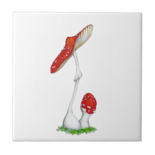 Carreau Amanita muscaria