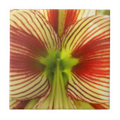 Carreau Amaryllis de papillon (Devant)
