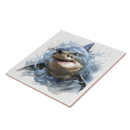 Carreau Amateurs de requins (Côté)