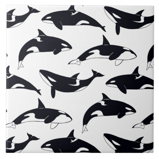 Carreau Amazing orca tile (Devant)