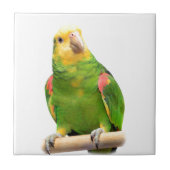 Carreau Amazone Jaune-dirigée (Devant)