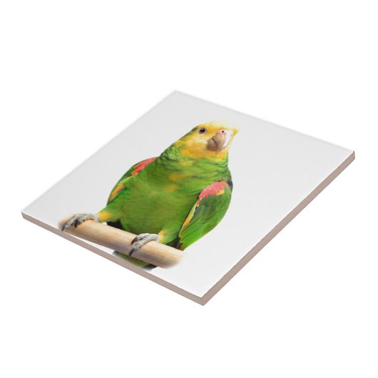 Carreau Amazone Jaune-dirigée (Côté)