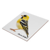 Carreau Américain Goldfinch (Côté)