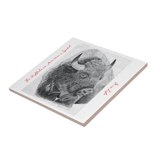 Carreau American Buffalo (Côté)