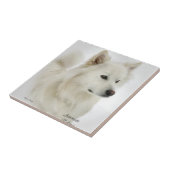 Carreau American Eskimo Dog Art (Côté)