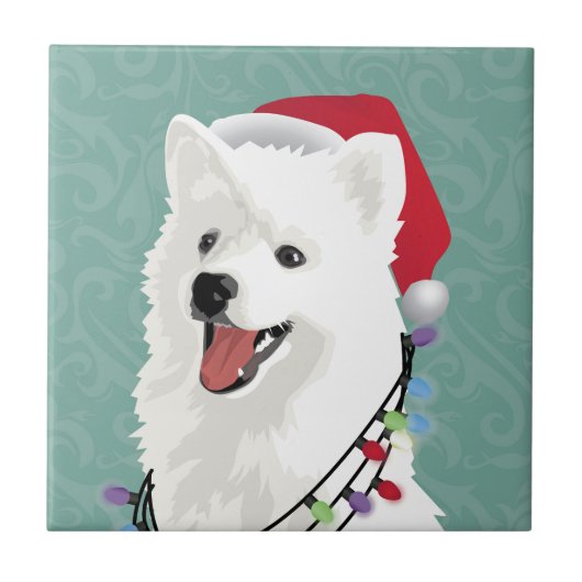 Carreau American Eskimo Samoyé mignon Chien Chien Chien Ch (Devant)