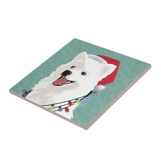Carreau American Eskimo Samoyé mignon Chien Chien Chien Ch (Côté)