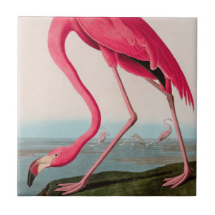Carreau American Flamant rose Birds of America Audubon Imp
