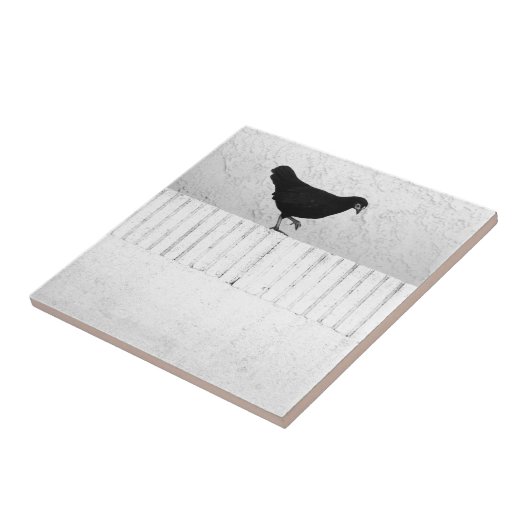 Carreau American Game Hen (Côté)