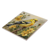 Carreau American Goldfinch Portrait, jaune et noir (Côté)