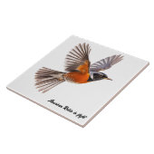 Carreau American Robin en vol (Côté)