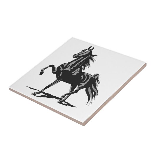 Carreau American Saddlebred (Côté)