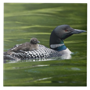 Carreau Amérique du Nord, Canada, Colombie-Britannique, La