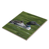 Carreau Amérique du Nord, Canada, Colombie-Britannique, La (Côté)