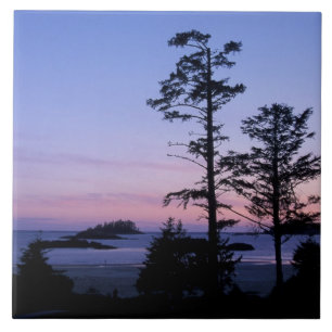 Carreau Amérique du Nord, Canada, île de Vancouver, arbres