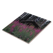 Carreau Amérique du Nord, Canada, Yukon. Capteurs abandonn (Côté)